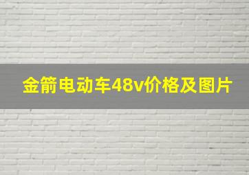 金箭电动车48v价格及图片