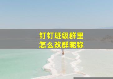 钉钉班级群里怎么改群昵称