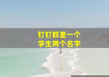 钉钉群里一个学生两个名字