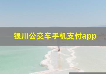 银川公交车手机支付app