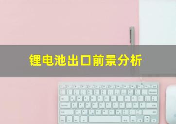 锂电池出口前景分析