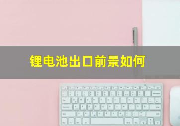 锂电池出口前景如何