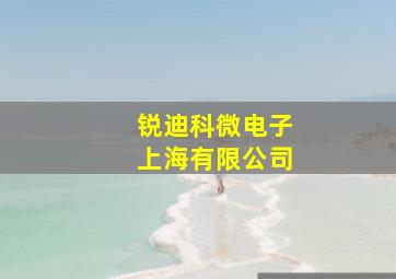 锐迪科微电子上海有限公司