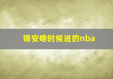 锡安啥时候进的nba