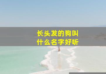 长头发的狗叫什么名字好听