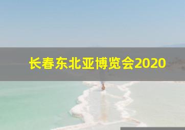 长春东北亚博览会2020