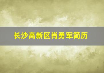 长沙高新区肖勇军简历