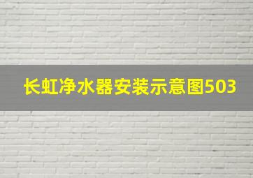 长虹净水器安装示意图503