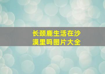 长颈鹿生活在沙漠里吗图片大全