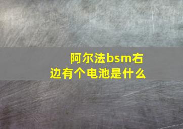 阿尔法bsm右边有个电池是什么