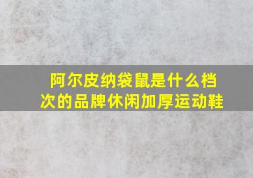 阿尔皮纳袋鼠是什么档次的品牌休闲加厚运动鞋