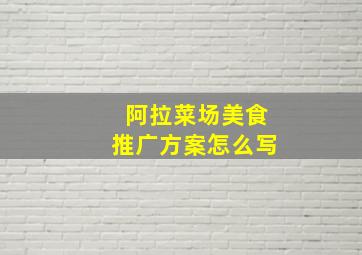 阿拉菜场美食推广方案怎么写