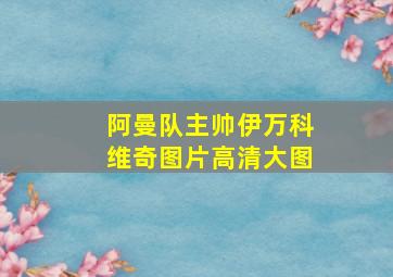 阿曼队主帅伊万科维奇图片高清大图