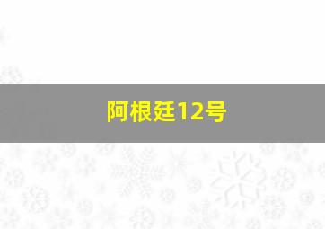 阿根廷12号