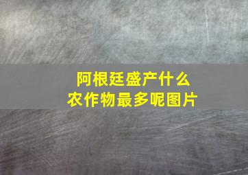 阿根廷盛产什么农作物最多呢图片