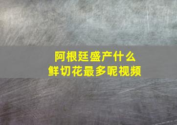 阿根廷盛产什么鲜切花最多呢视频