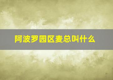 阿波罗园区麦总叫什么