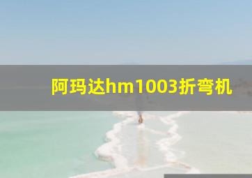 阿玛达hm1003折弯机