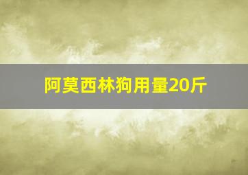 阿莫西林狗用量20斤