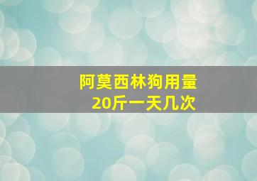 阿莫西林狗用量20斤一天几次