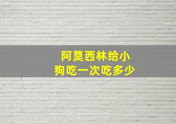 阿莫西林给小狗吃一次吃多少