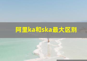 阿里ka和ska最大区别