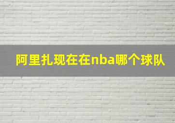 阿里扎现在在nba哪个球队