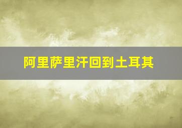 阿里萨里汗回到土耳其