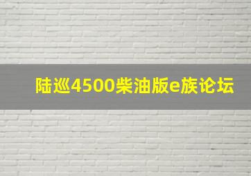 陆巡4500柴油版e族论坛