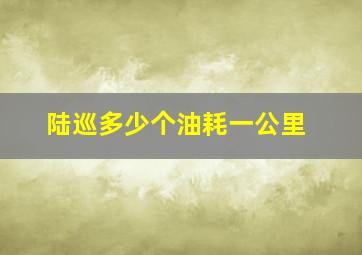 陆巡多少个油耗一公里