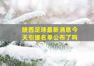 陕西足球最新消息今天引援名单公布了吗