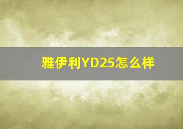 雅伊利YD25怎么样