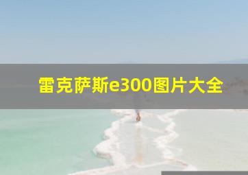 雷克萨斯e300图片大全