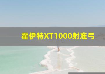 霍伊特XT1000射准弓