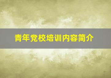 青年党校培训内容简介