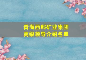 青海西部矿业集团高级领导介绍名单