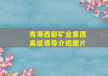 青海西部矿业集团高级领导介绍图片