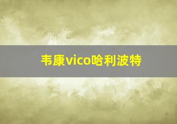 韦康vico哈利波特