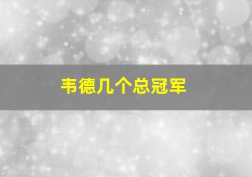 韦德几个总冠军