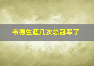 韦德生涯几次总冠军了