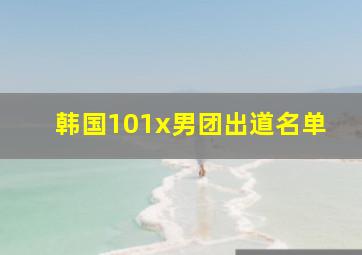 韩国101x男团出道名单