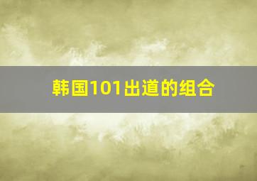 韩国101出道的组合