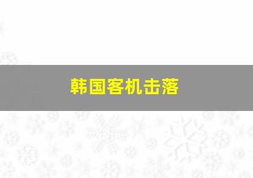 韩国客机击落