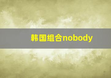 韩国组合nobody