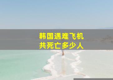 韩国遇难飞机共死亡多少人