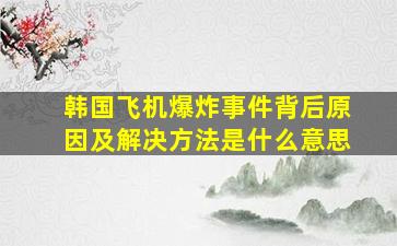 韩国飞机爆炸事件背后原因及解决方法是什么意思