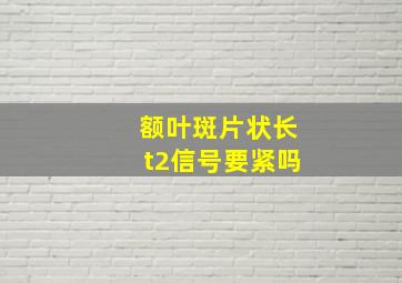 额叶斑片状长t2信号要紧吗