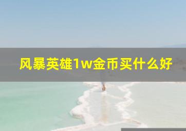 风暴英雄1w金币买什么好