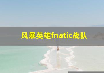 风暴英雄fnatic战队