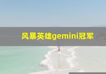 风暴英雄gemini冠军